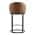 Saddle Brown color or pattern variation