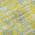 Yellow color or pattern variation