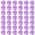 Purple color or pattern variation