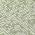 Fern color or pattern variation