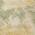 Gold color or pattern variation