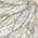 Ivory color or pattern variation
