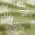 Green color or pattern variation