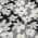 Black color or pattern variation