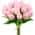 Pink color or pattern variation