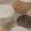 Brown color or pattern variation