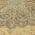 Gold color or pattern variation
