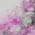 Pink color or pattern variation