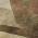 Brown color or pattern variation
