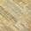 Gold color or pattern variation