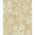 Cream/White color or pattern variation
