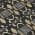 Black color or pattern variation