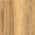 Sparta Mound Maple color or pattern variation