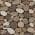 Brown color or pattern variation