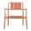 Apricot Brown color or pattern variation