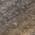 Brown color or pattern variation