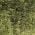 Green Fixed Arms color or pattern variation