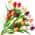 Multi-Colored color or pattern variation