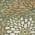 Olive color or pattern variation