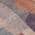 Plum color or pattern variation