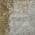 Brown color or pattern variation