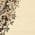 Ivory color or pattern variation
