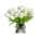 White color or pattern variation