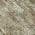 Olive color or pattern variation