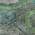 Teal color or pattern variation