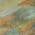 Fern color or pattern variation