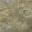Brown color or pattern variation