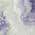 Lavender color or pattern variation