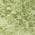 Olive color or pattern variation