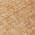 Coral color or pattern variation
