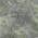 Gray color or pattern variation