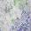 Blue color or pattern variation