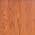 Chestnut color or pattern variation
