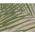 Sand/Palm