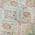 Ivory color or pattern variation