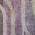 Purple color or pattern variation
