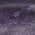 Purple color or pattern variation