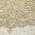 Cream color or pattern variation