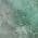 Teal color or pattern variation