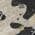 Black color or pattern variation