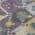 Purple color or pattern variation