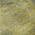 Gold color or pattern variation