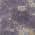 Plum color or pattern variation