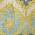 Yellow color or pattern variation