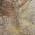Beige color or pattern variation