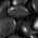 Black color or pattern variation